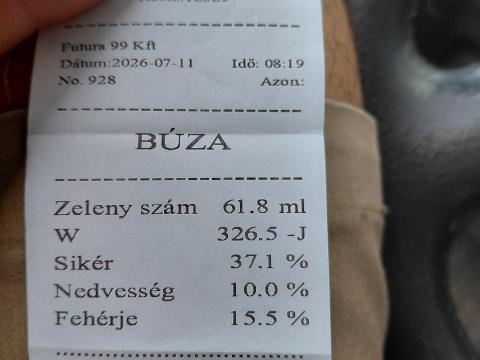 Búza, 300 tonna Búza, 300 tonna