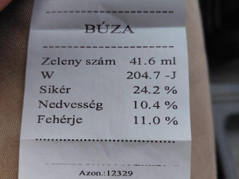 Búza Búza