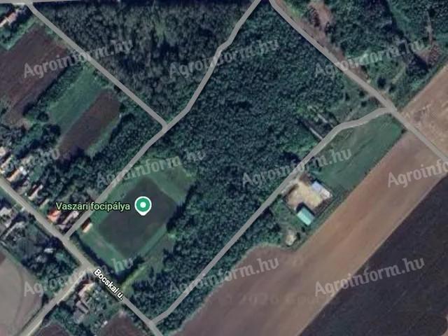 Eladó erdő Vaszar határában (Pápa mellett)
