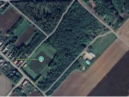 Eladó erdő Vaszar határában (Pápa mellett)