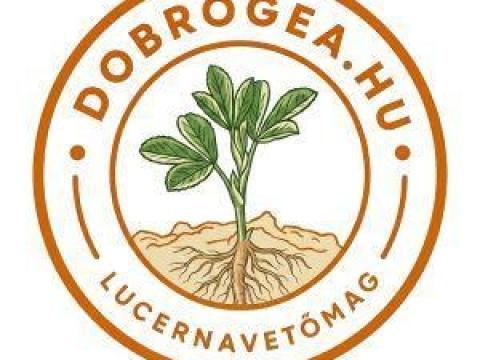 Dobrogea fémzárolt lucerna vetőmag Dobrogea fémzárolt lucerna vetőmag