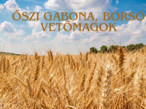 Őszi gabona - búza, árpa, tritikálé, rozs, zöldrozs, zab- borsó vetőmagok 2026 Őszi gabona - búza, árpa, tritikálé, rozs, zöldrozs, zab- borsó vetőmagok 2026