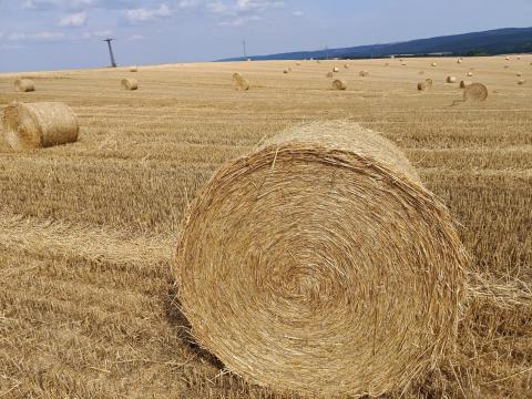 Búzaszalma körbála