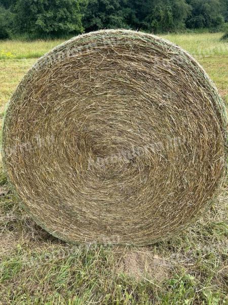 Lucernaszéna bála