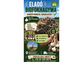 Bio Makói tavaszi fokhagyma