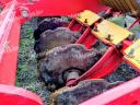 Vaderstad Carrier 350X típusú tárcsa eladó