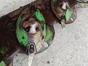 KRONE EASYCUT 320-as KASZA,  FŰKASZA