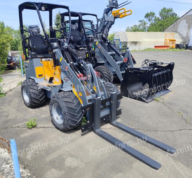 Giant G1100