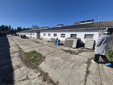 Eladó sertéstartó telep Eladó sertéstartó telep