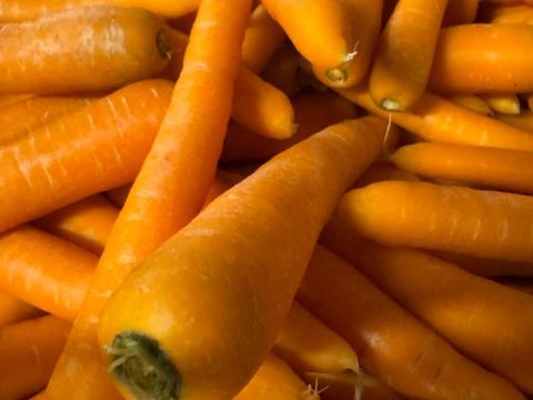 Eladó: zsenge sárgarépa – mosva, válogatva és csomagolva Eladó: zsenge sárgarépa – mosva, válogatva és csomagolva