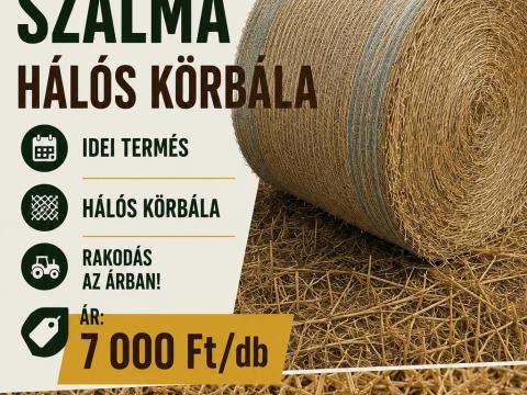 Tritikálé szalma eladó Tritikálé szalma eladó