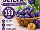 Lepotica szilva eladó