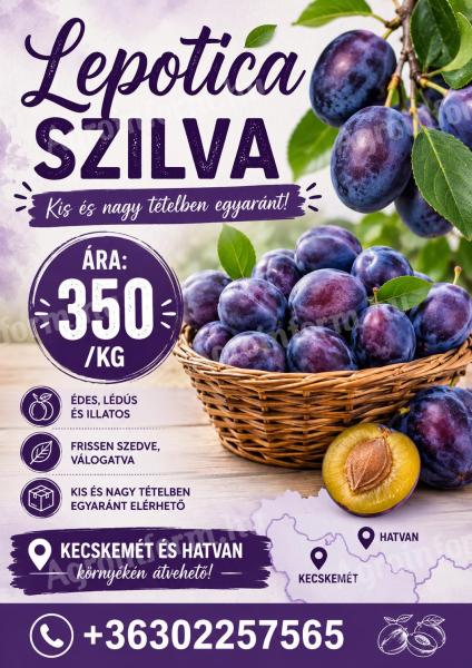 Lepotica szilva eladó