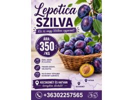 Lepotica szilva eladó