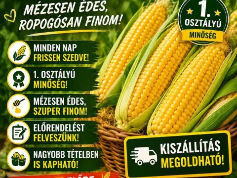 Szuperédes Csemege kukorica Szuperédes Csemege kukorica