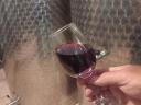 Balatoni Cabernet sauvignon folyóbor