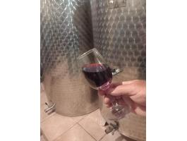 Balatoni Cabernet sauvignon folyóbor