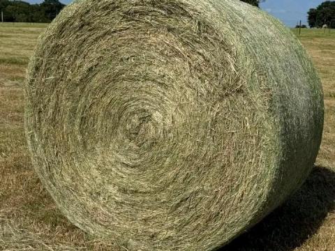 Széna bála eladó Széna bála eladó