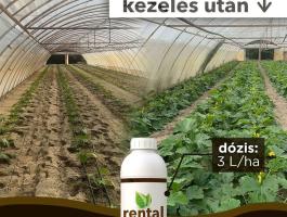 Rental szamóca gyökereztető biostimulátor 5l
