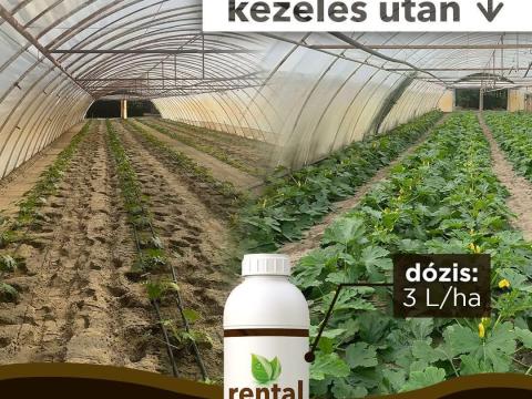 Rental szamóca gyökereztető biostimulátor 5l Rental szamóca gyökereztető biostimulátor 5l