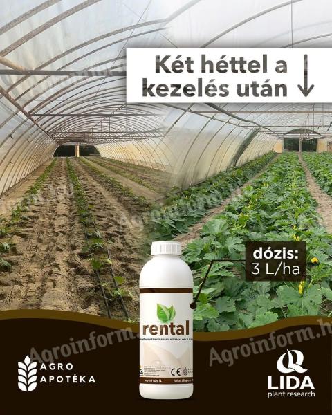 Rental szamóca gyökereztető biostimulátor 5l