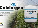 Calciorgan kalcium műtrágya 10l