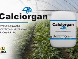 Calciorgan kalcium műtrágya 10l
