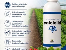 Calciolid aminosavas kalcium lombtrágya 5l