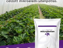 Microkelan mikroelem komplex 5kg