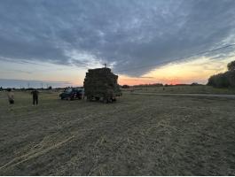 Kisbálás lucerna, gátszéna, búzaszalma eladó