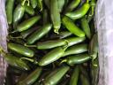 Jalapeno paprika