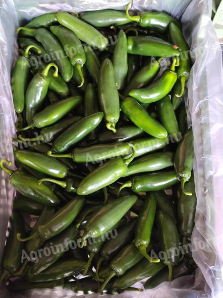 Jalapeno paprika