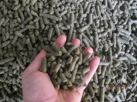 Repce pellet / Repce-pogácsa Repce pellet / Repce-pogácsa