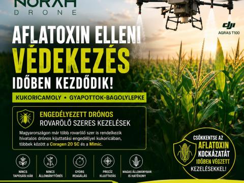 Kukoricamoly és gyapottok-bagolylepke elleni drónos védekezés