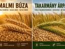 Eladó malmi minőségű búza és takarmányárpa