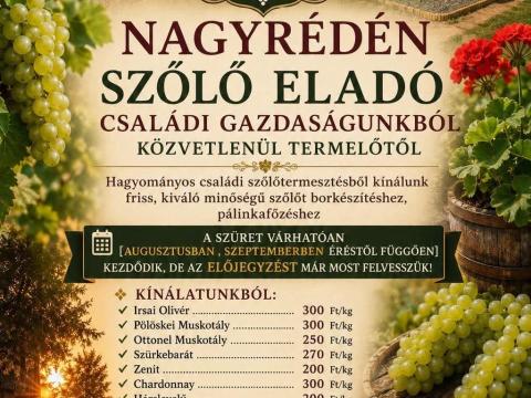 Mátrai borvidéken Nagyrédén Irsai Olivér szőlő eladó Mátrai borvidéken Nagyrédén Irsai Olivér szőlő eladó