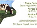 Keresek Holstein nagy bikát
