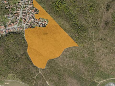 20 ha erdő eladó Törökbálinton 20 ha erdő eladó Törökbálinton