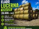 Lucerna
