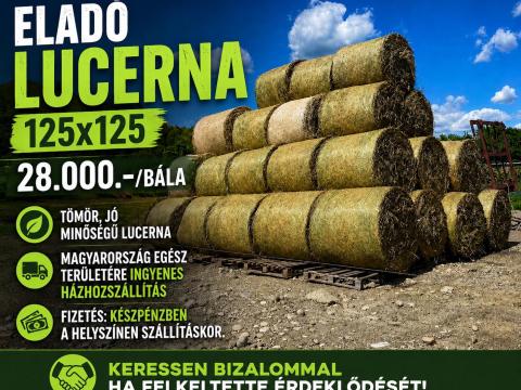Lucerna