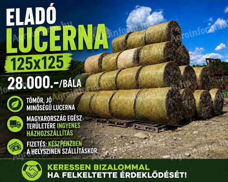 Lucerna