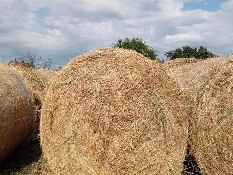 Eladó réti széna Eladó réti széna