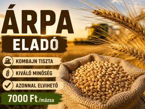 Árpa eladó közvetlenül termelőtől Árpa eladó közvetlenül termelőtől