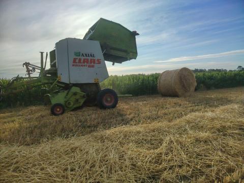 Claas Rollant 66