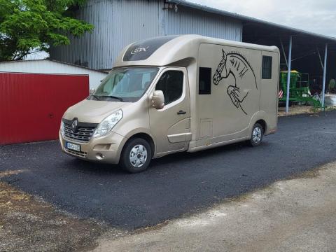 STX Renault Master III. lószállító kisteherautó furgon