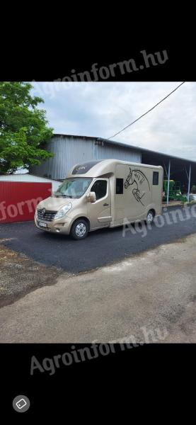 STX Renault Master III. lószállító kisteherautó furgon