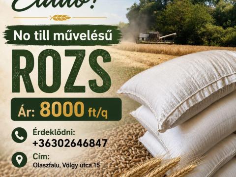 ELADÓ No till termesztésű rozs ELADÓ No till termesztésű rozs