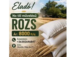 ELADÓ No till termesztésű rozs