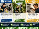 Szolgáltatások