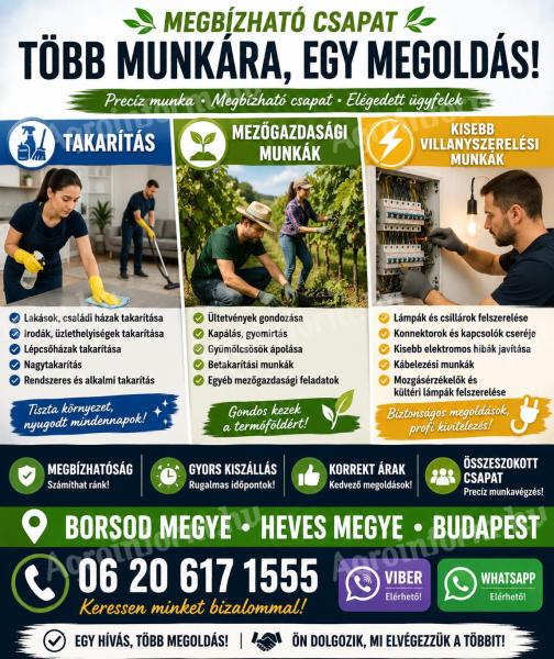 Szolgáltatások